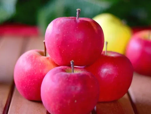 5 Gründe: Warum Äpfel gesund sind