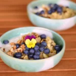 Apfel-Porridge mit Walnüssen und Blaubeeren – Schnell und Einfach