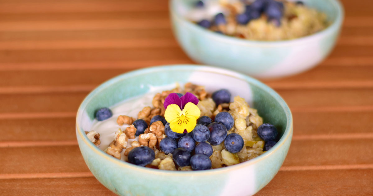 Apfel-Porridge mit Walnüssen und Blaubeeren - Lecker!