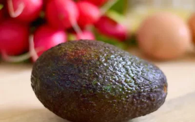 Avocado haltbar machen: 5 Tipps für eine längere Frische