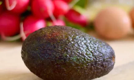 Avocado haltbar machen: 5 Tipps für eine längere Frische