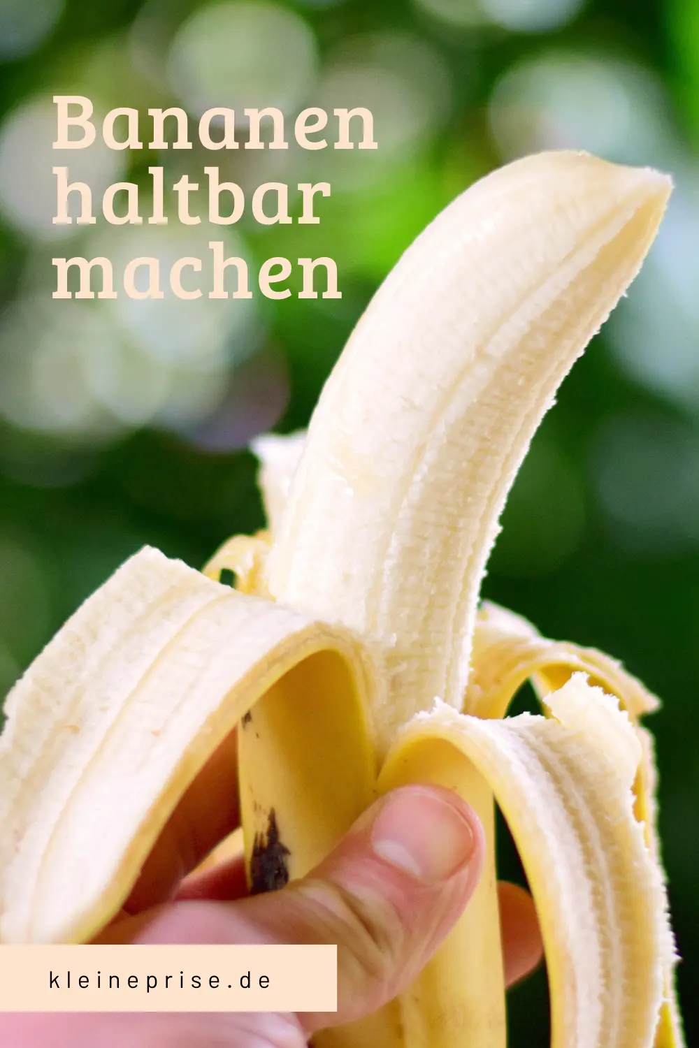 Pin es bei Pinterest: Bananen haltbar machen
