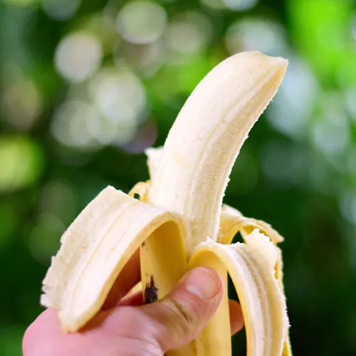 Bananen haltbar machen