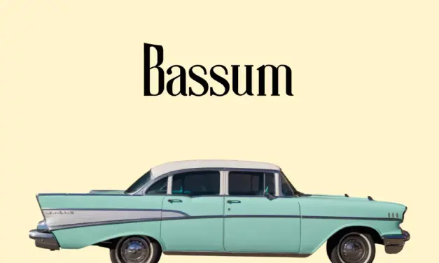 Wo liegt Bassum in Deutschland?