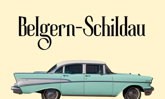Wo liegt Belgern-Schildau in Deutschland?