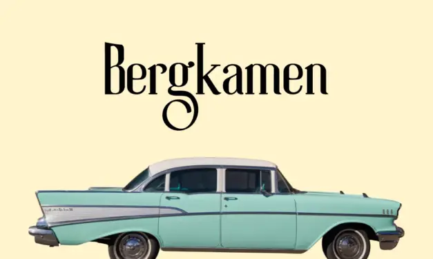 Wo liegt Bergkamen in Deutschland?