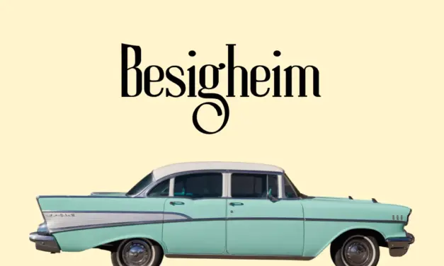 Wo liegt Besigheim in Deutschland?