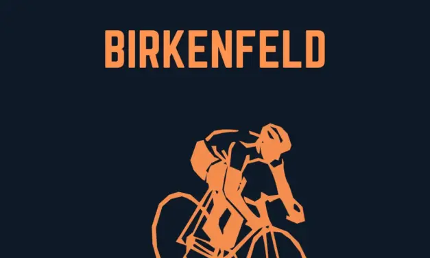 Wo liegt Birkenfeld in Deutschland?