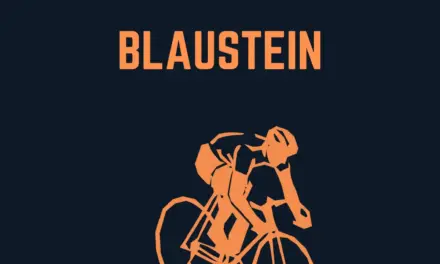 Wo liegt Blaustein in Deutschland?