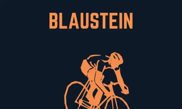 Wo liegt Blaustein in Deutschland?