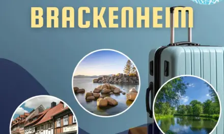 Wo liegt Brackenheim in Deutschland?