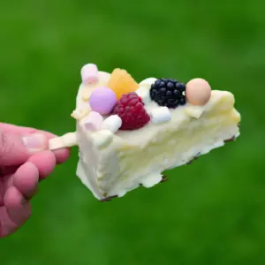 Cheesecake am Stiel