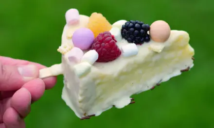 Cheesecake am Stiel – Käsekuchen mit Stiel
