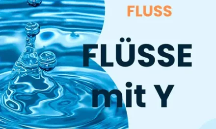 Fluss mit Y – Stadt Land Fluss