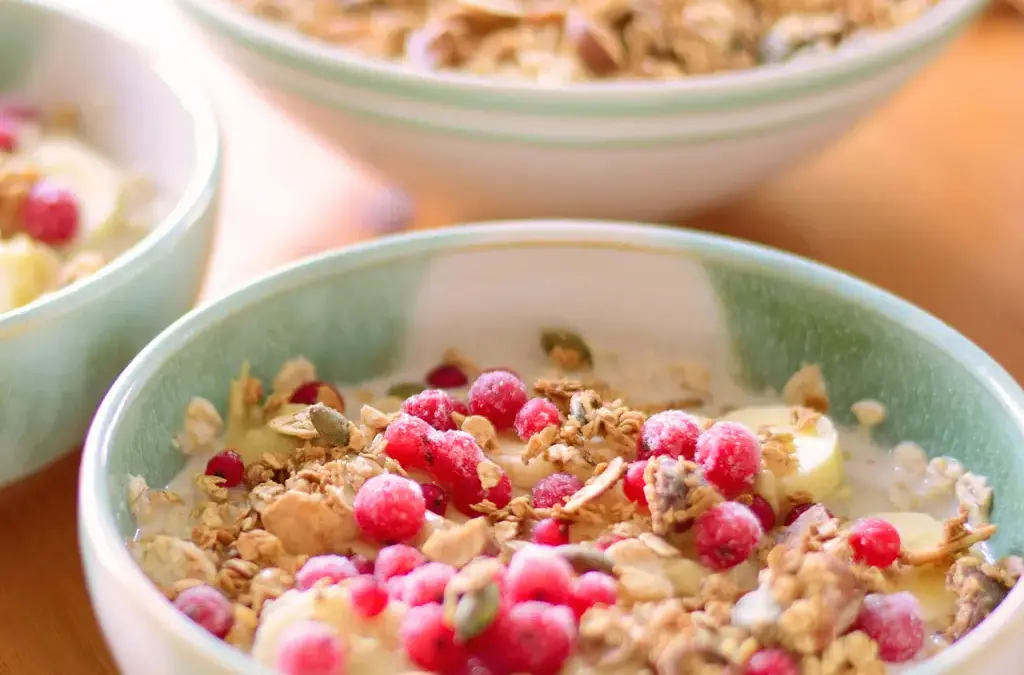 Pudding kochen für Halloween mit Pflaumenkompott Granola selbst gemacht mit Datteln