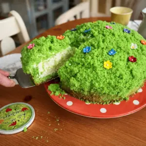 Grüne Wiese Kuchen – einfach, cremig und ein echter Hingucker Grüne Wiese Kuchen
