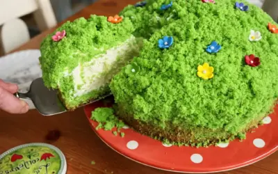 Einfache Rezepte und Spielideen für Kinder Grüne Wiese Kuchen – einfach, cremig und ein echter Hingucker