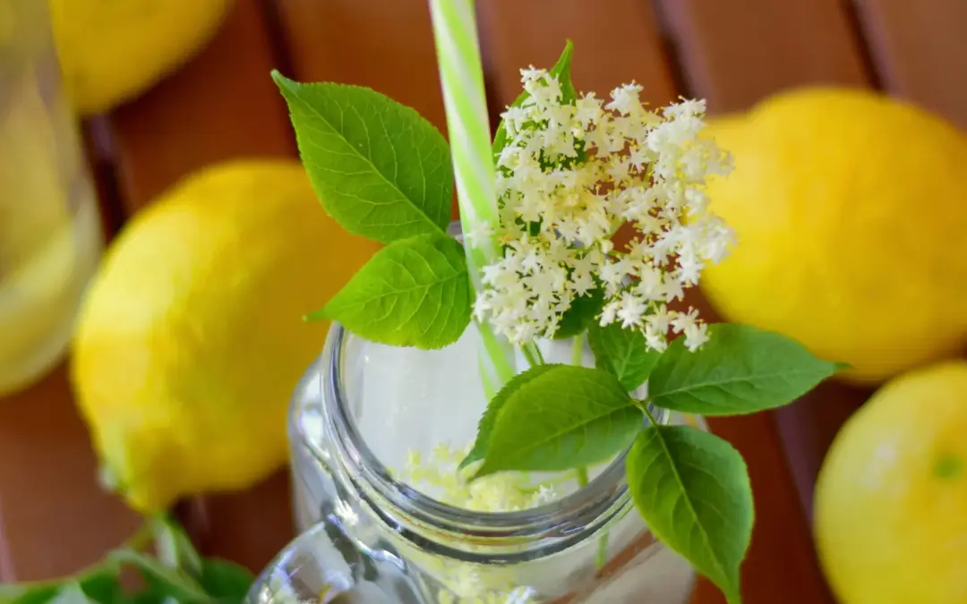 Holunderblüten Sirup selber machen
