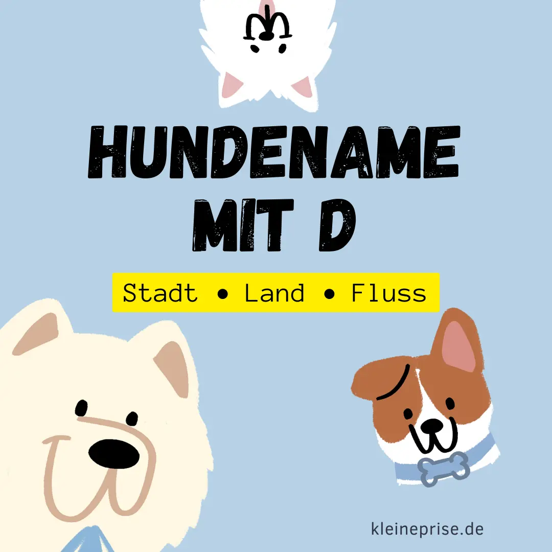 Hundename mit D – Stadt Land Fluss Hundename mit D