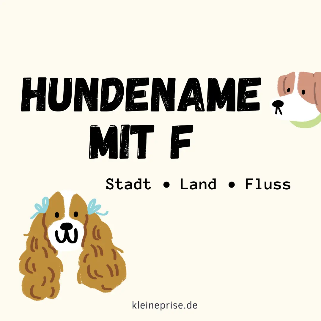 Hundename mit F – Stadt Land Fluss Hundename mit F