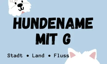 Hundename mit G – Stadt Land Fluss