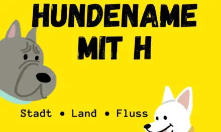Hundename mit H – Stadt Land Fluss