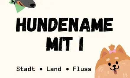 Hundename mit I – Stadt Land Fluss