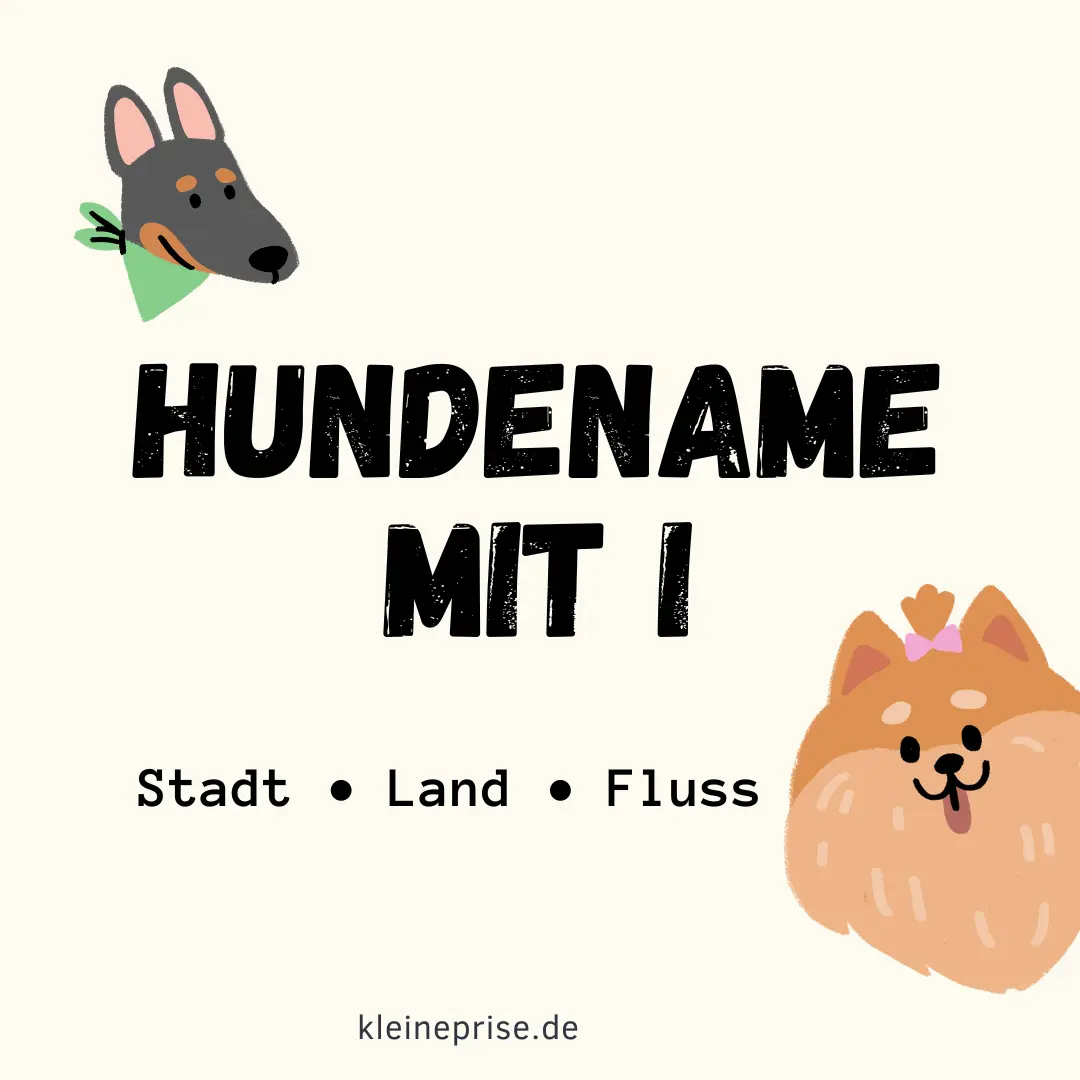 Hundename mit I – Stadt Land Fluss Hundename mit I
