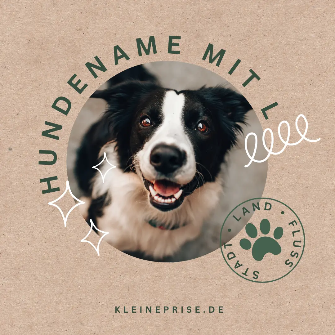Hundename mit L – Stadt Land Fluss Hundename mit L