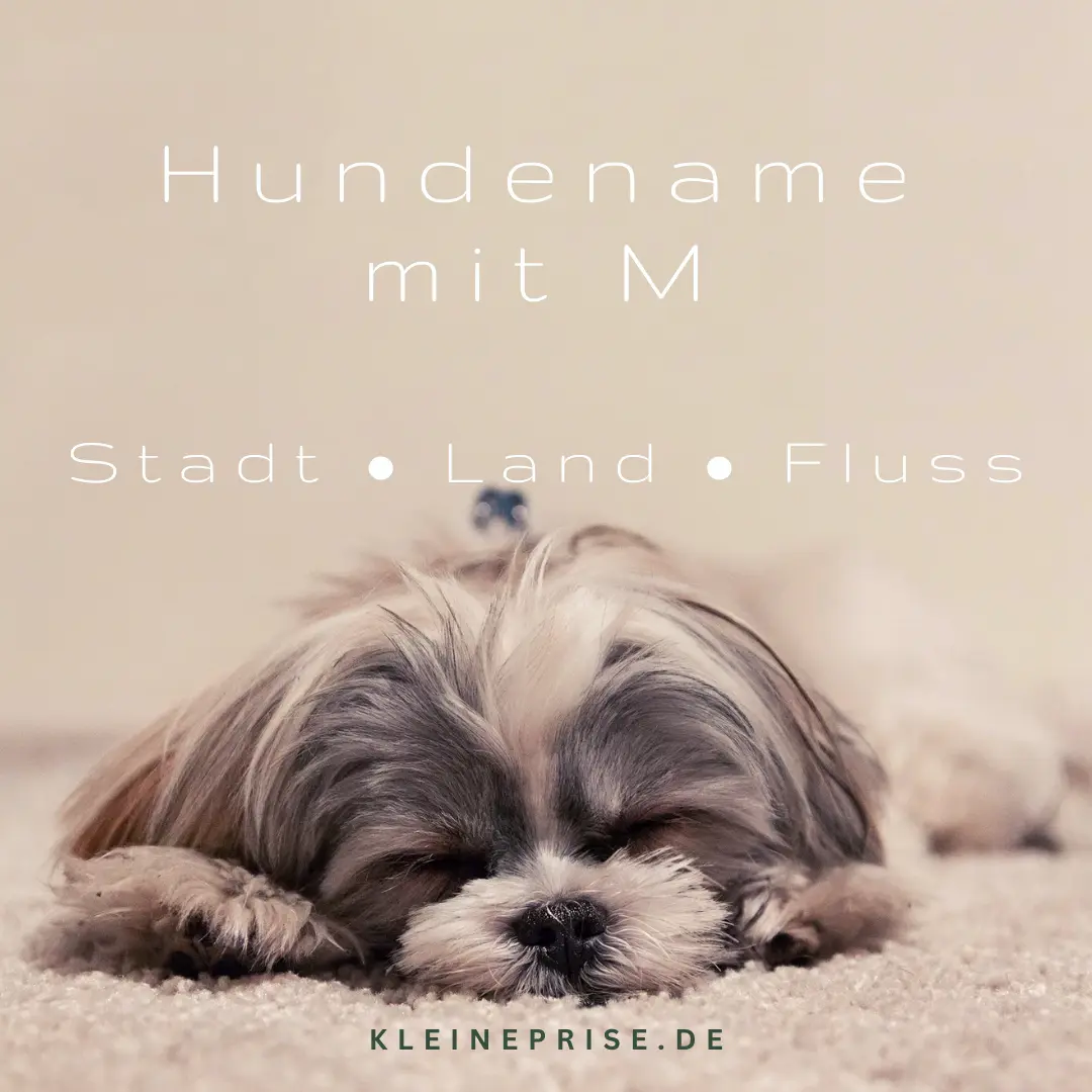 Hundename mit M – Stadt Land Fluss Hundename mit M