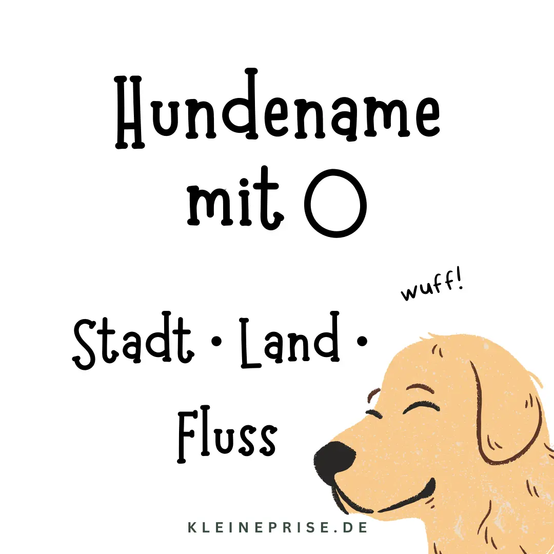 Hundename mit O – Stadt Land Fluss Hundename mit O