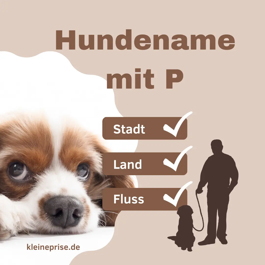 Hundename mit P – Stadt Land Fluss Hundename mit P