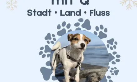Hundename mit Q – Stadt Land Fluss