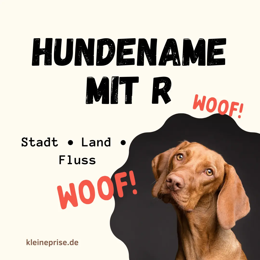Hundename mit R – Stadt Land Fluss Hundename mit R