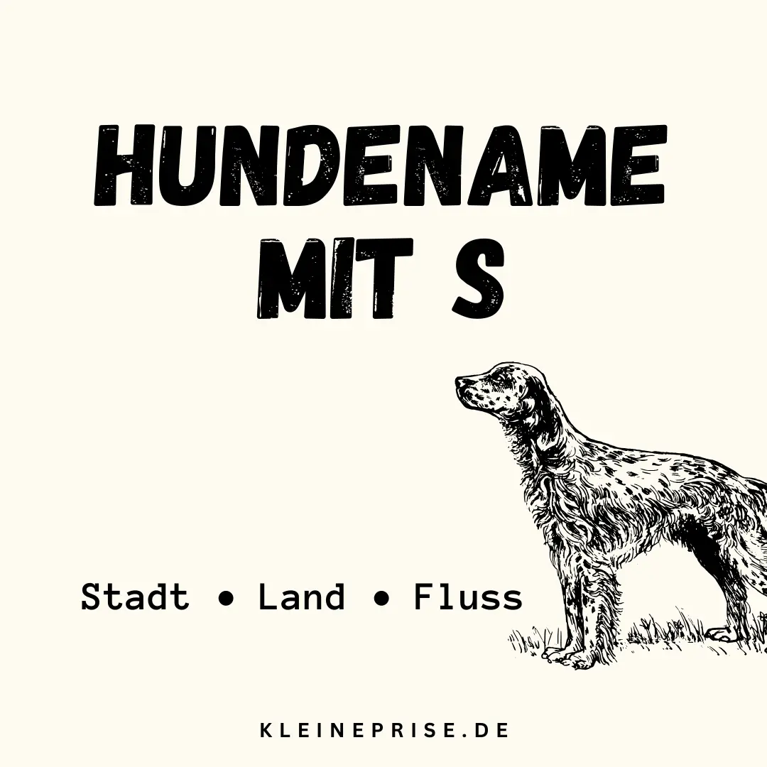 Hundename mit S – Stadt Land Fluss Hundename mit S