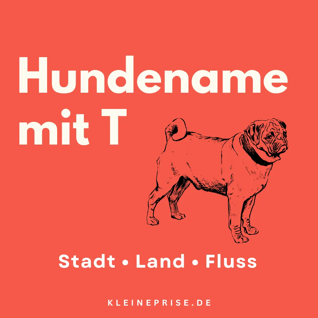 Hundename mit T – Stadt Land Fluss Hundename mit T