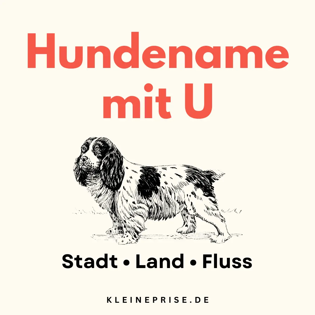 Hundename mit U – Stadt Land Fluss Hundename mit U