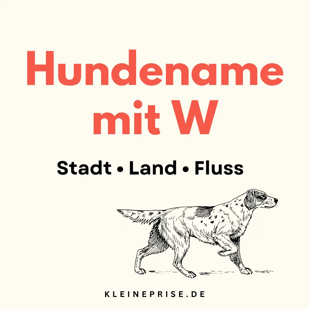 Hundename mit W – Stadt Land Fluss Hundename mit W