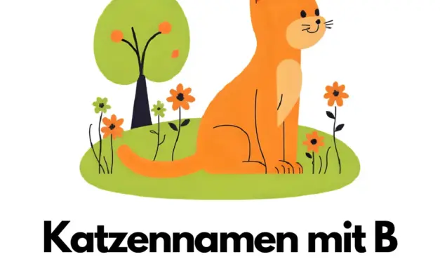 Katzennamen mit B – Stadt Land Fluss