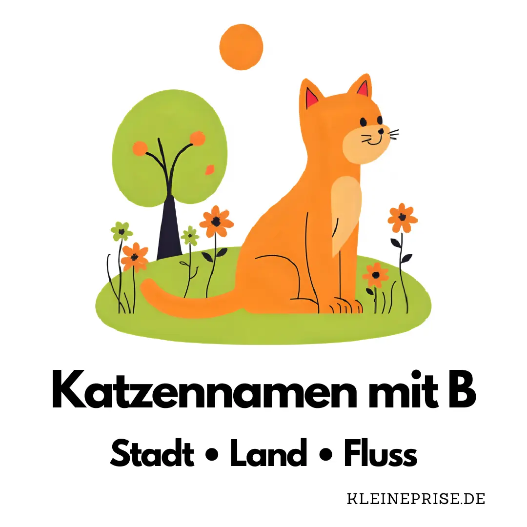 Katzennamen mit B – Stadt Land Fluss Katzennamen mit B