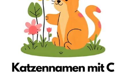 Katzennamen mit C – Stadt Land Fluss