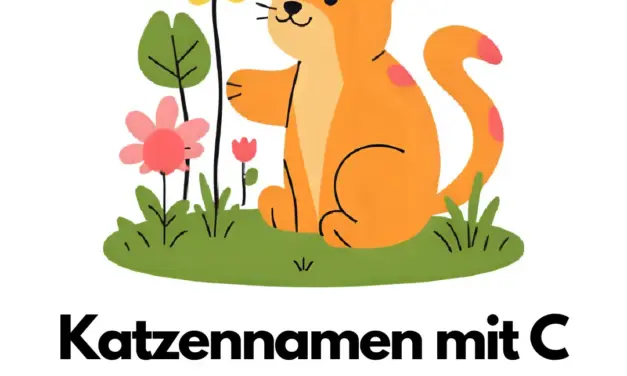 Katzennamen mit C – Stadt Land Fluss