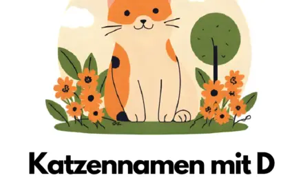 Katzennamen mit D – Stadt Land Fluss