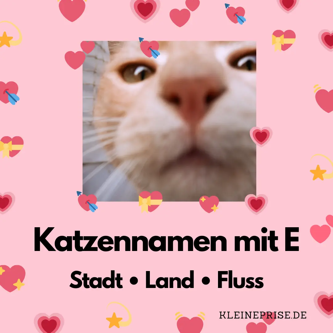 Katzennamen mit E – Stadt Land Fluss Katzennamen mit E