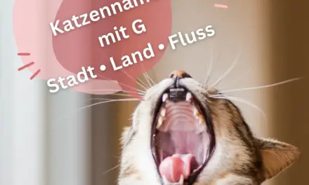 Katzennamen mit G – Stadt Land Fluss