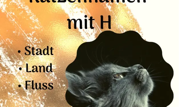 Katzennamen mit H – Stadt Land Fluss
