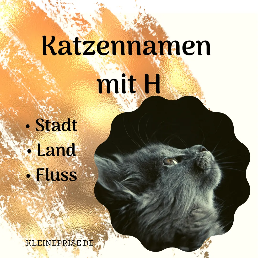 Katzennamen mit H