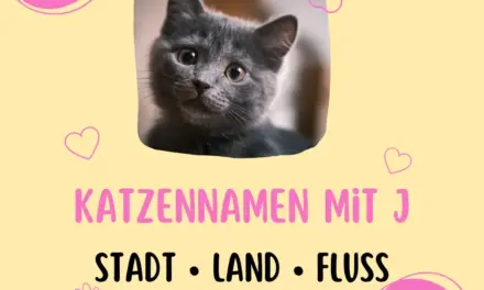 Katzennamen mit J – Stadt Land Fluss
