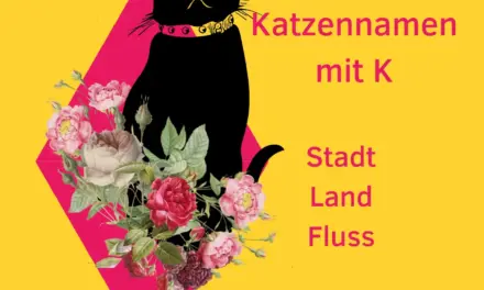 Katzennamen mit K – Stadt Land Fluss
