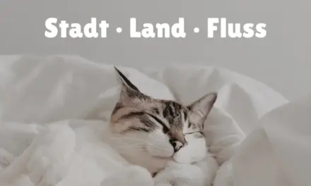 Katzennamen mit O – Stadt Land Fluss